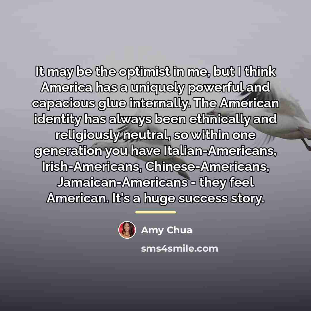 “It may be the optimist in me, but I think…” quote by Amy Chua