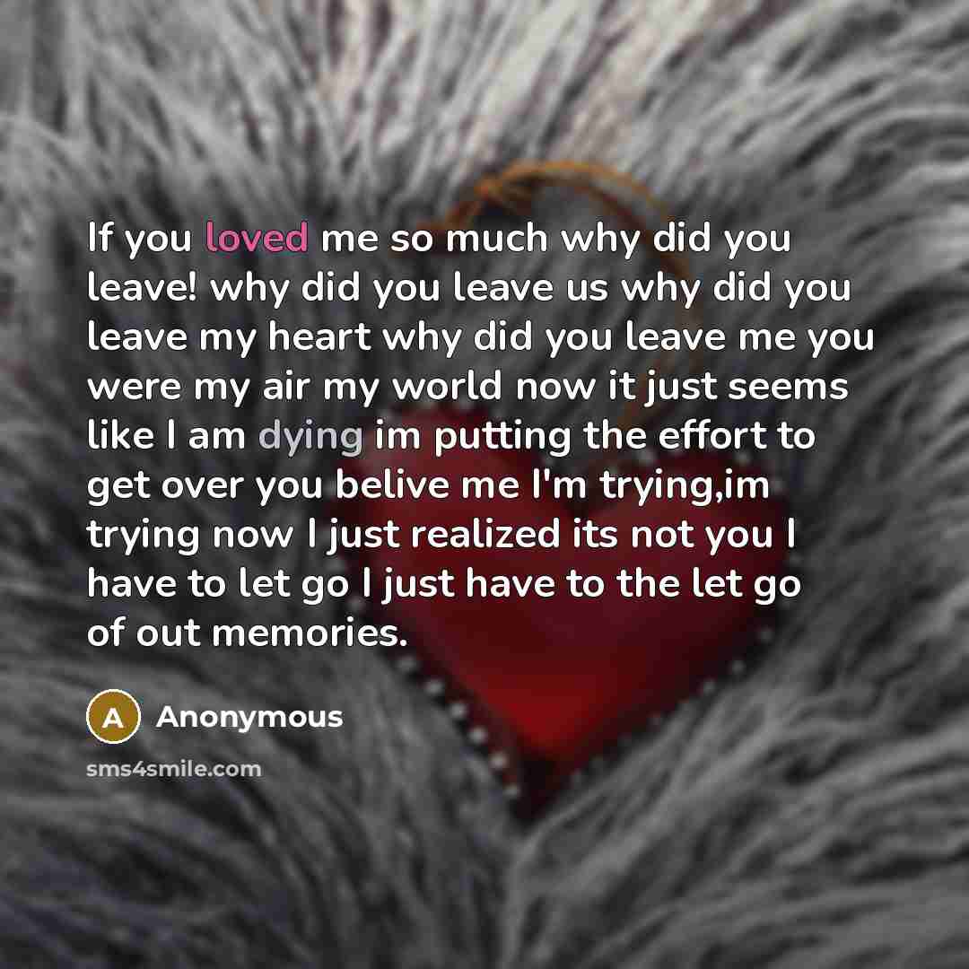 “If you loved me so much why did you leave! why did you leave us why did you leave my heart why did you leave me you were my air my world now it just seems like I am dying im putting the effort to get over you belive me I'm trying,im trying now I just realized its not you I have to let go I just…” quote by Anonymous