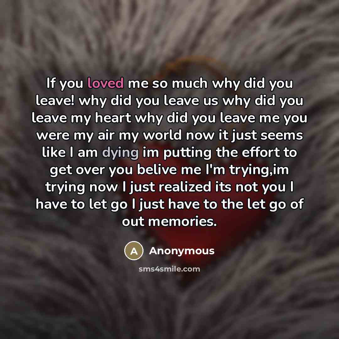 “If you loved me so much why did you leave!…” quote by Anonymous