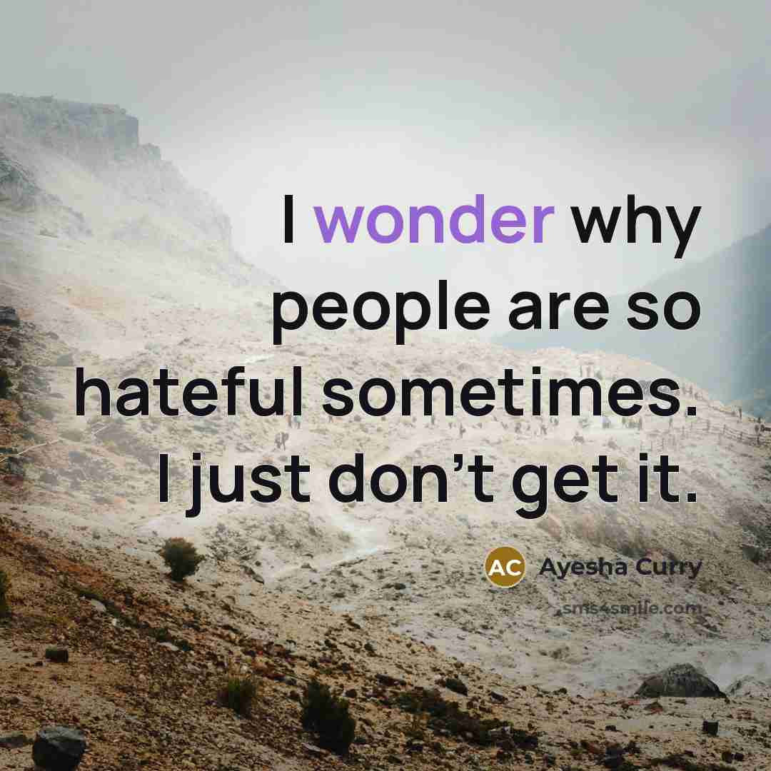 “I wonder why people are so hateful sometimes. I just…” quote by Ayesha Curry