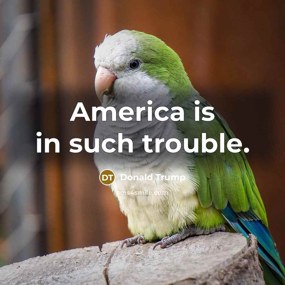 “America is in such trouble.…” quote by Donald Trump