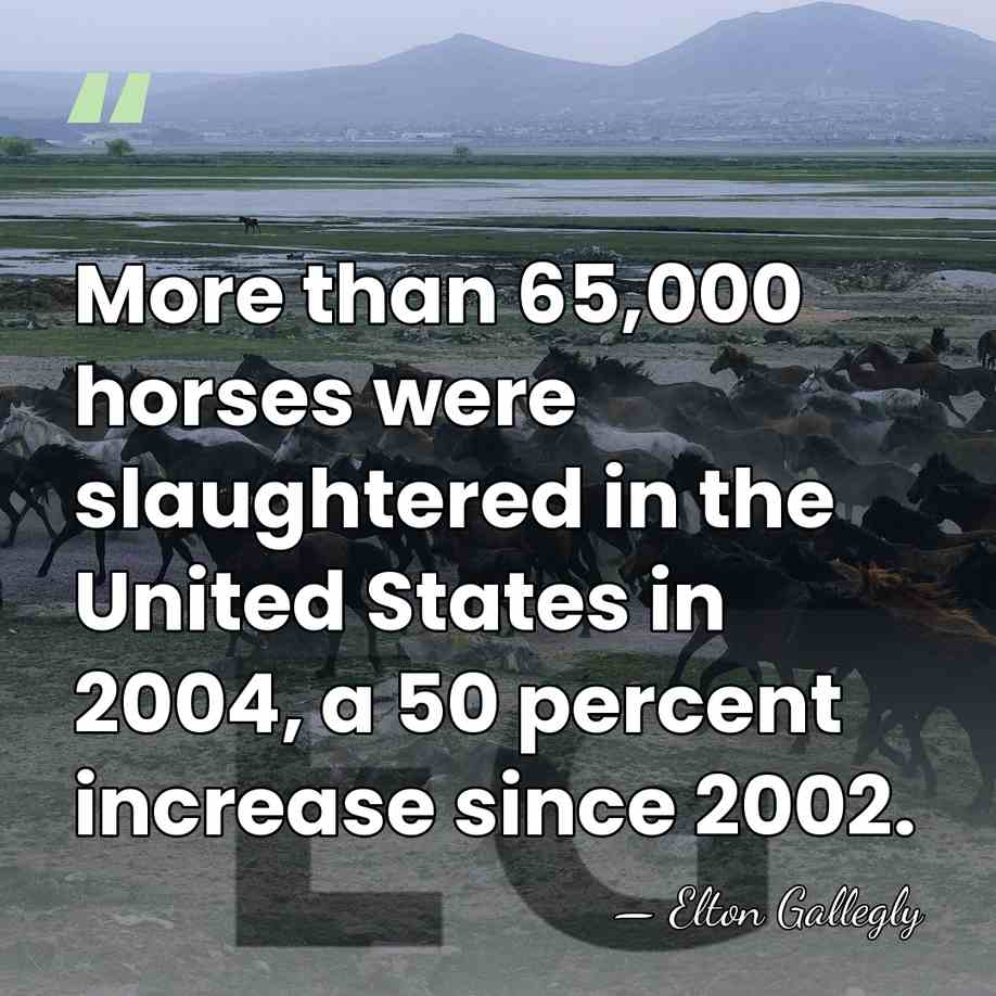 More than 65,000 horses were slaughtered in the United States in 2004,&hellip; - Elton Gallegly