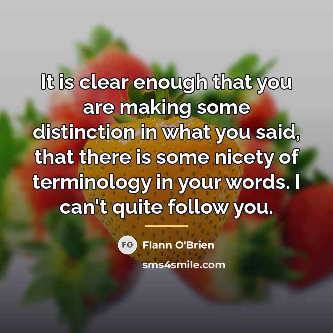 “It is clear enough that you are making some distinction…” quote by Flann O'Brien