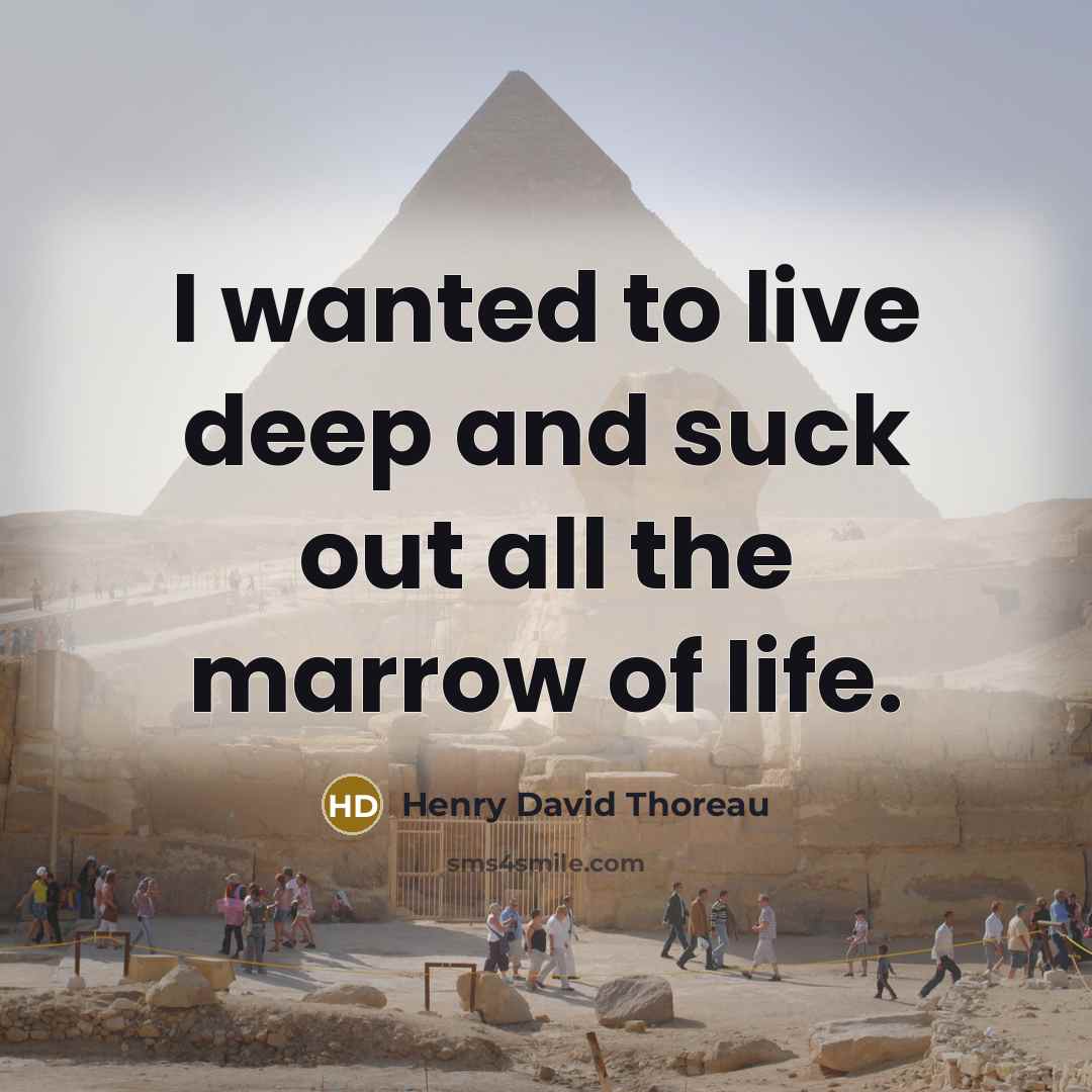“I wanted to live deep and suck out all the…” quote by Henry David Thoreau