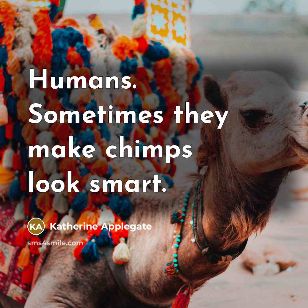 “Humans. Sometimes they make chimps look smart.” quote by Katherine Applegate