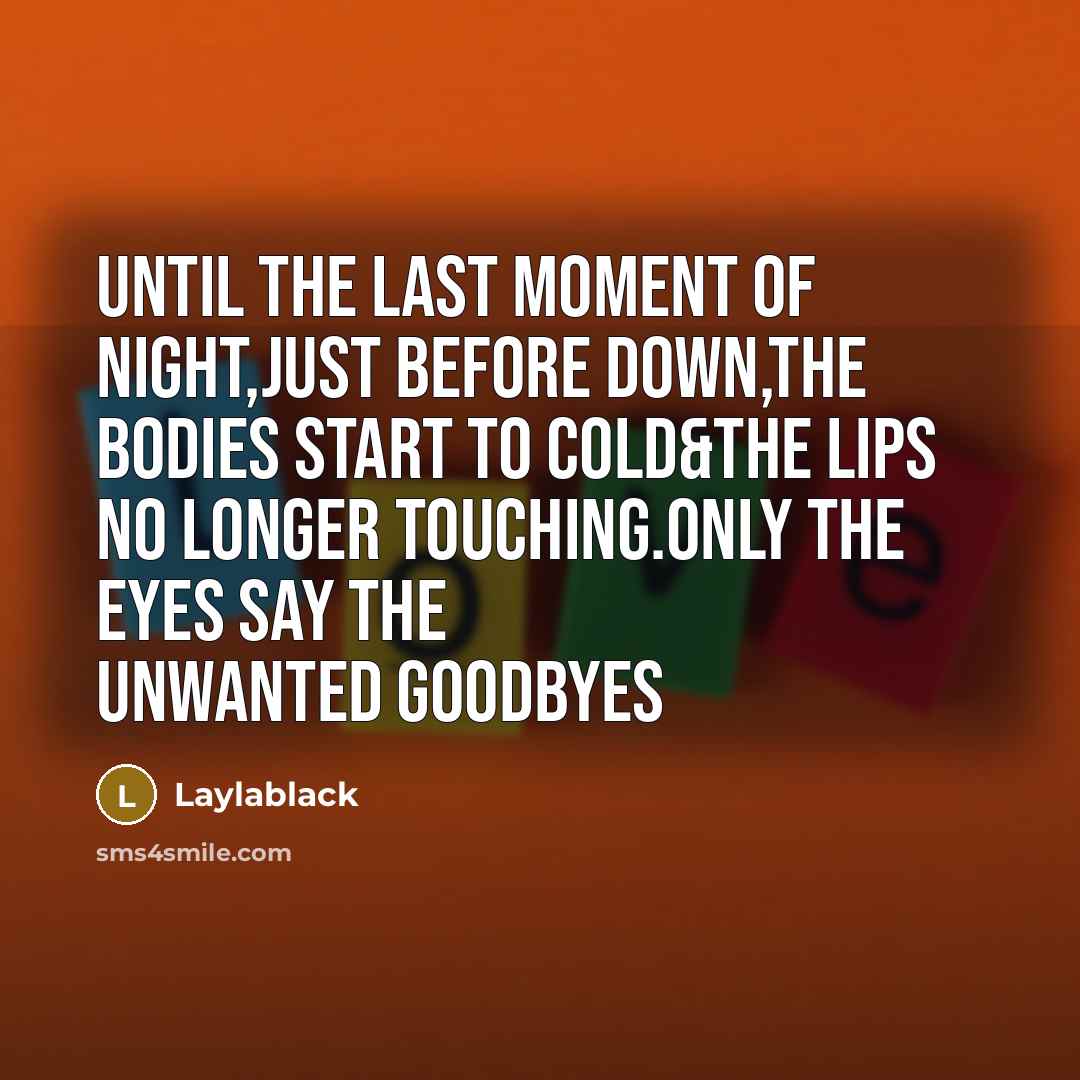 “Until the last moment of night,just before down,the bodies start…” quote by Laylablack