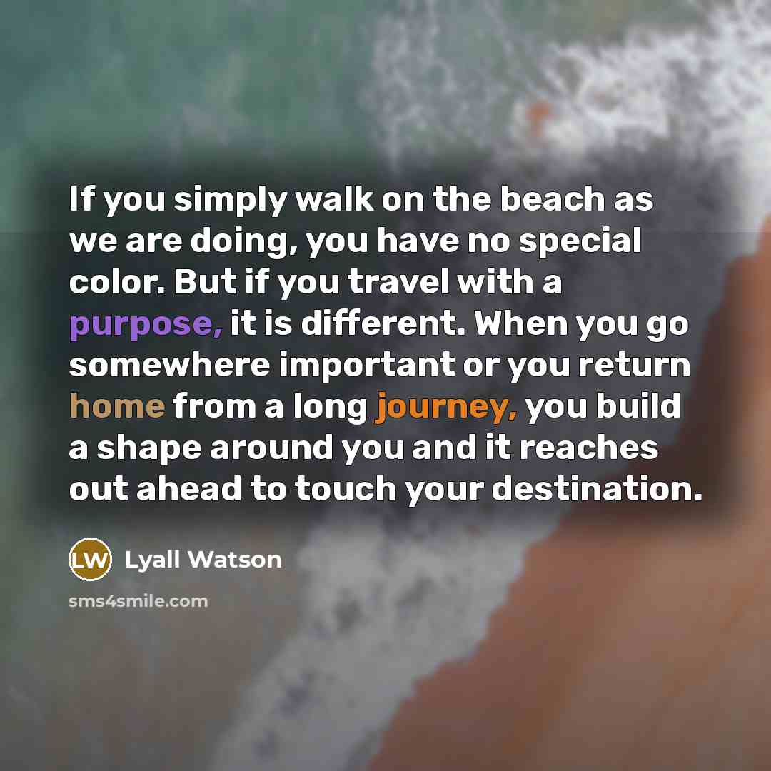 “If you simply walk on the beach as we are…” quote by Lyall Watson