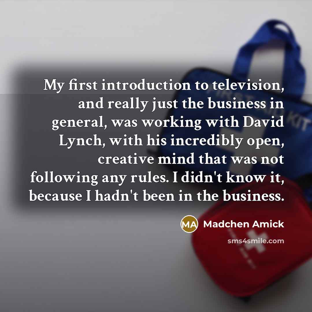 “My first introduction to television, and really just the business…” quote by Madchen Amick