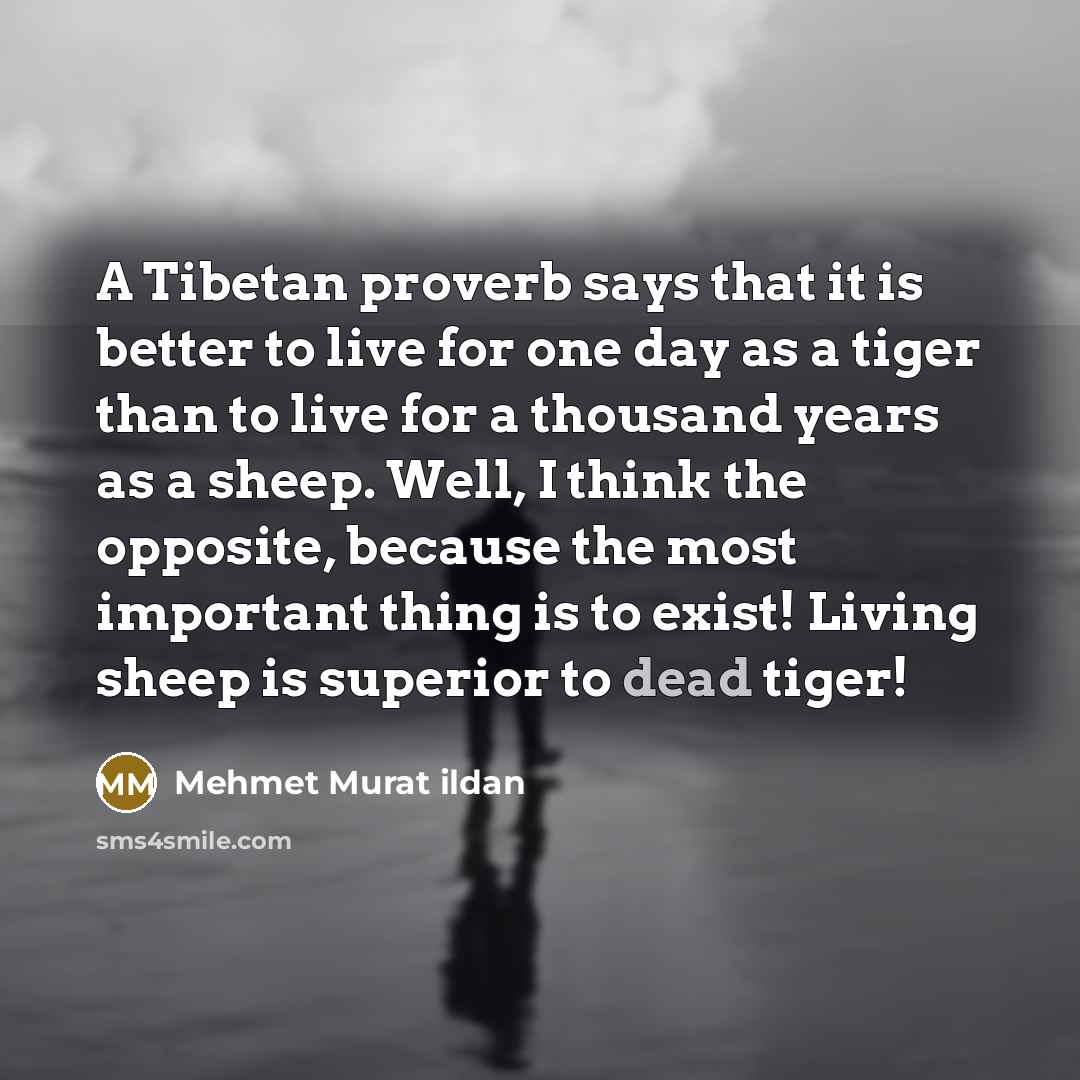 “A Tibetan proverb says that it is better to live…” quote by Mehmet Murat Ildan