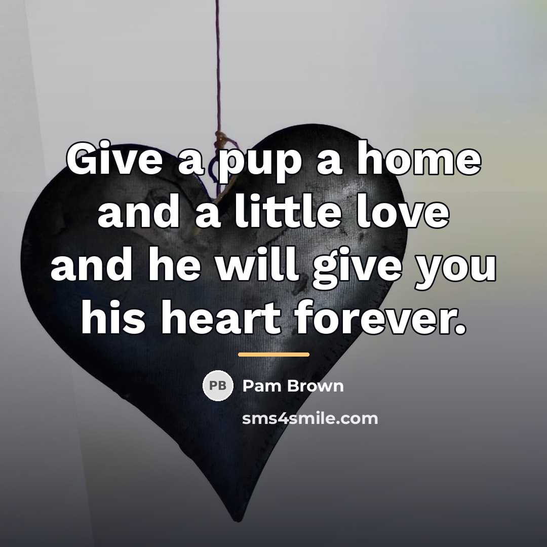 “Give a pup a home and a little love and…” quote by Pam Brown