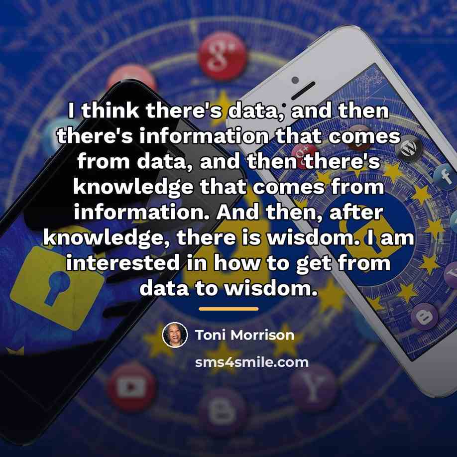 “I think there's data, and then there's information that comes…” quote by Toni Morrison