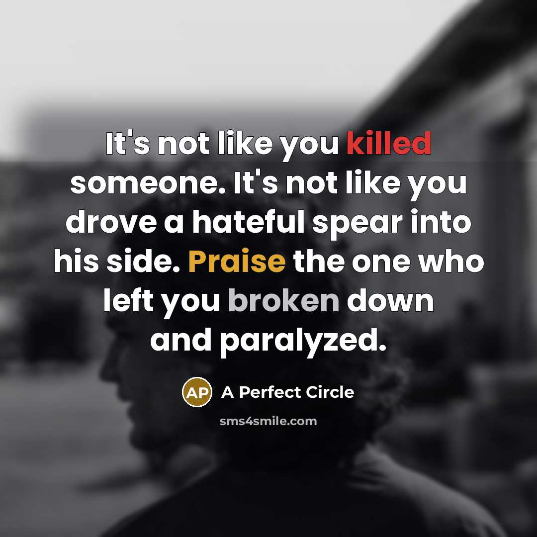 “It's not like you killed someone. It's not like you drove a hateful spear into his side. Praise the one who left you broken down and paralyzed.” quote by A Perfect Circle