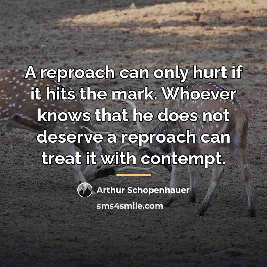 “A reproach can only hurt if it hits the mark.…” quote by Arthur Schopenhauer