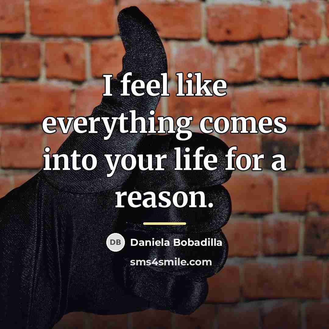 “I feel like everything comes into your life for a…” quote by Daniela Bobadilla