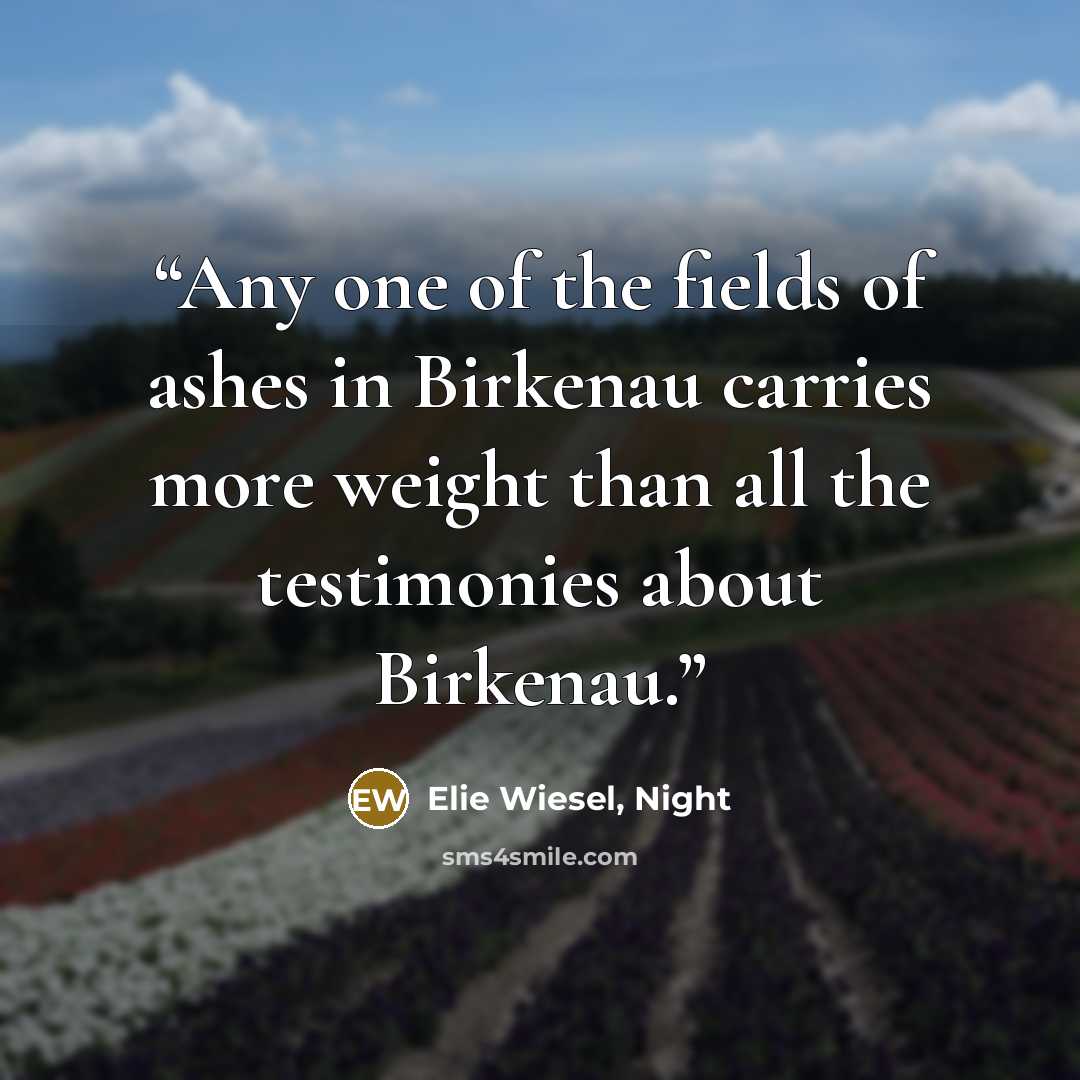 “Any one of the fields of ashes in Birkenau carries more weight than all the testimonies about Birkenau.” quote by Elie Wiesel, Night