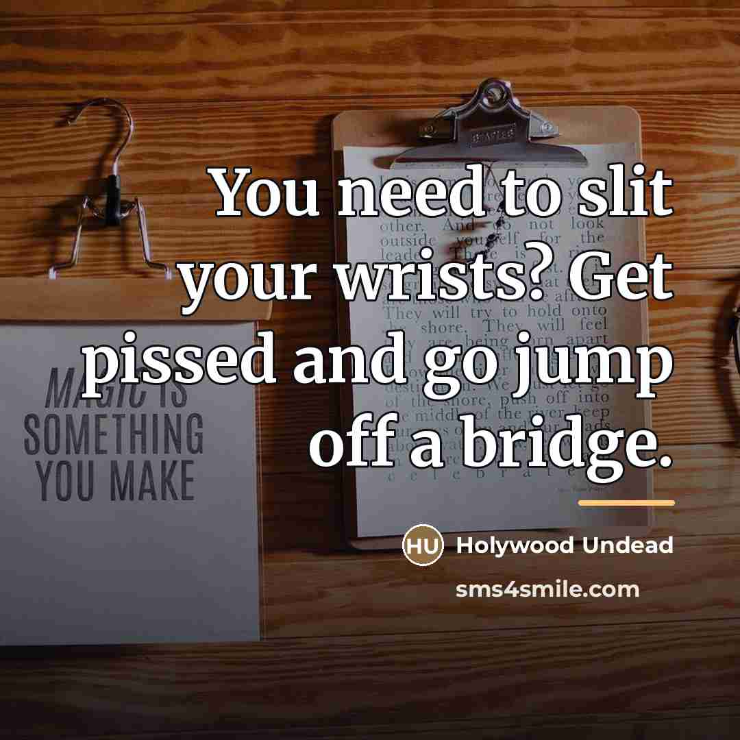 “You need to slit your wrists? Get pissed and go…” quote by Anonymous