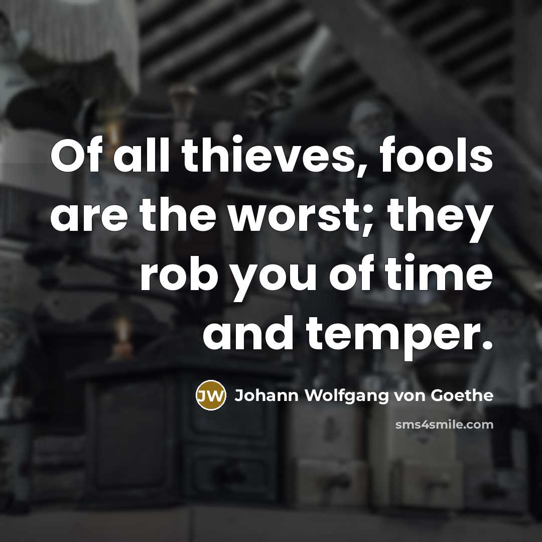 “Of all thieves, fools are the worst; they rob you…” quote by Johann Wolfgang von Goethe