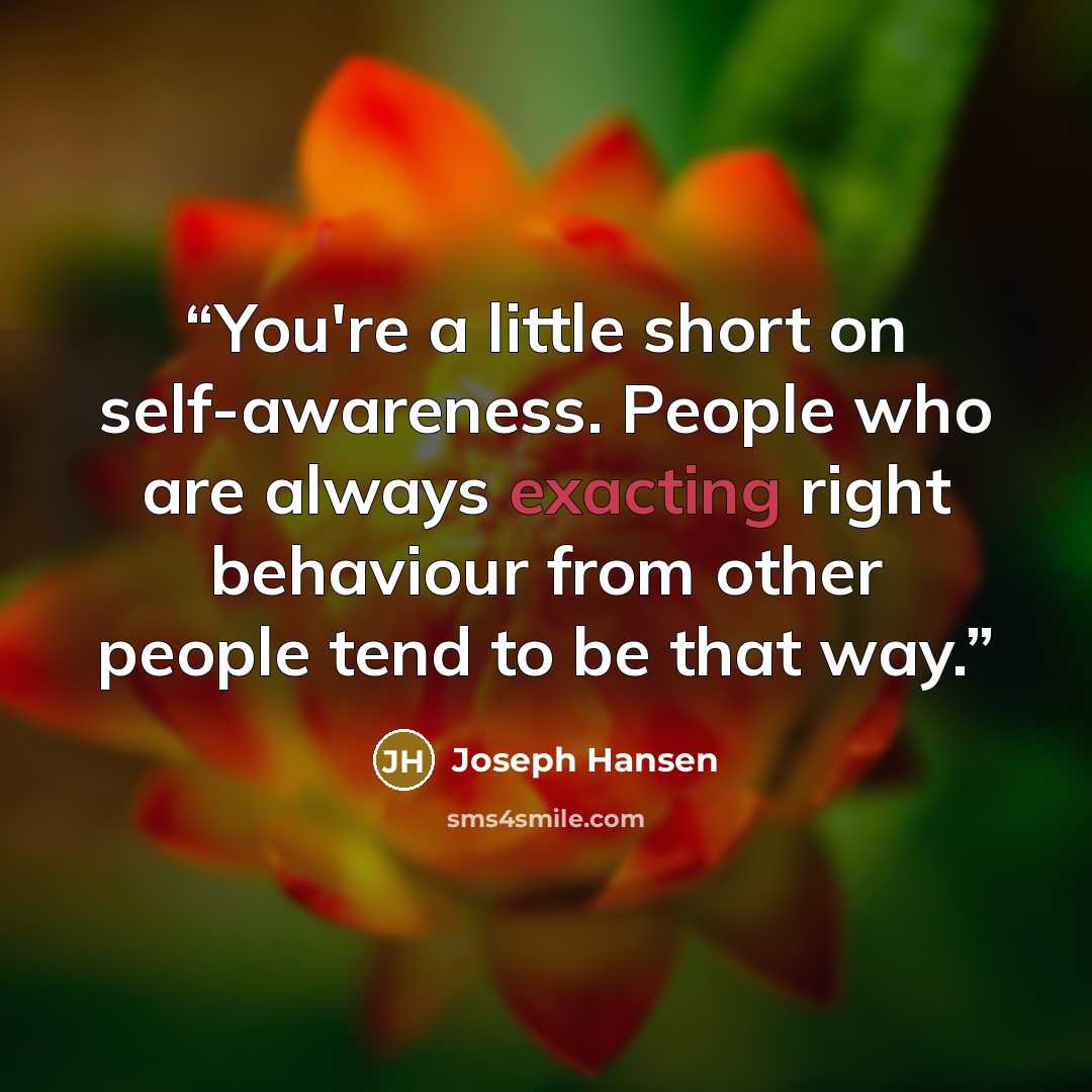 “You're a little short on self-awareness. People who are always exacting right behaviour from other people tend to be that way.” quote by Joseph Hansen