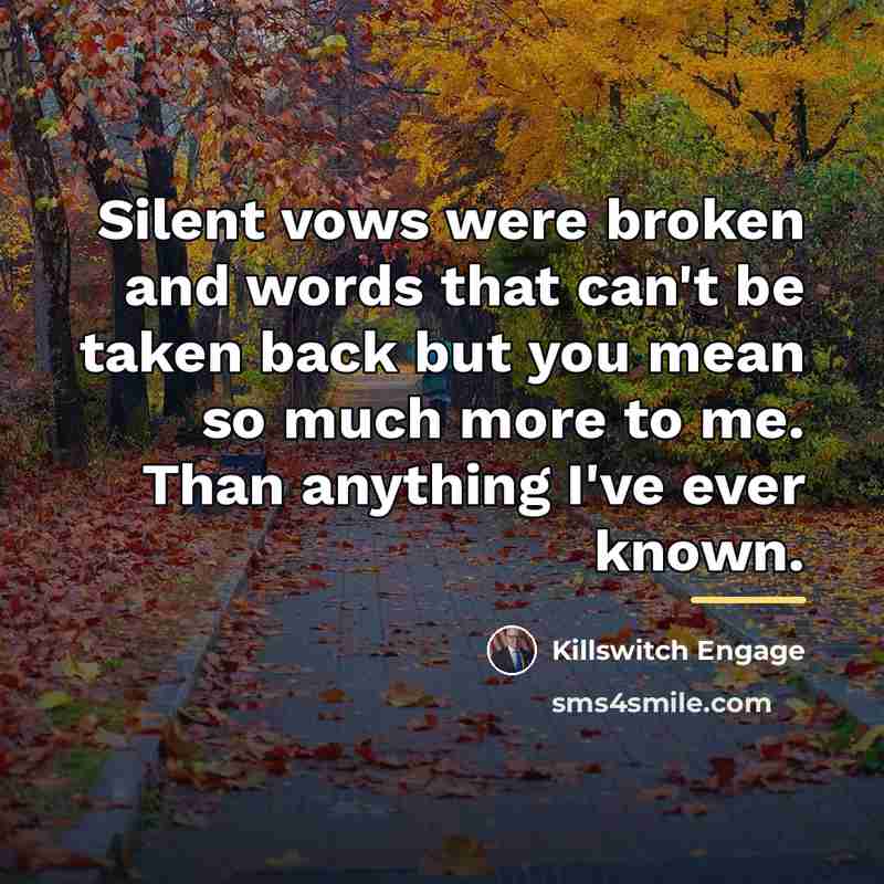 “Silent vows were broken and words that can't be taken…” quote by Killswitch Engage