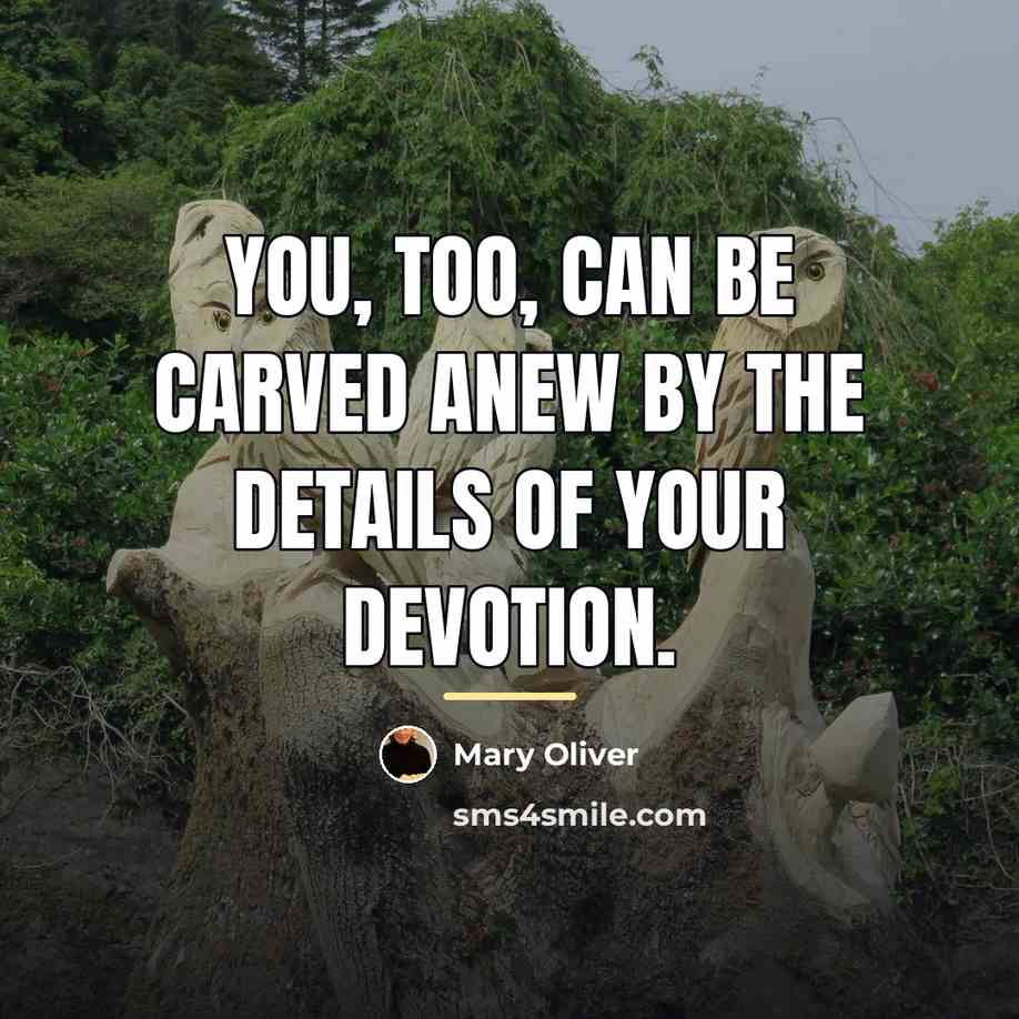 “You, too, can be carved anew by the details of…” quote by Mary Oliver