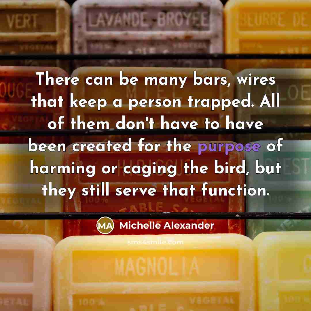 “There can be many bars, wires that keep a person…” quote by Michelle Alexander