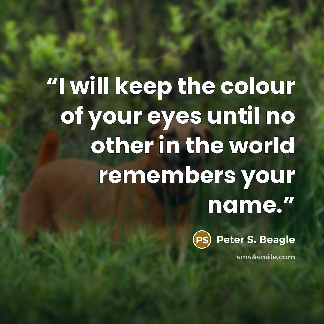 “I will keep the colour of your eyes until no other in the world remembers your name.” quote by Peter S. Beagle