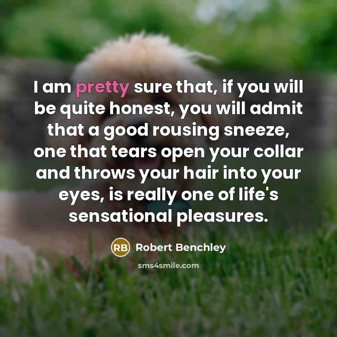 “I am pretty sure that, if you will be quite…” quote by Robert Benchley