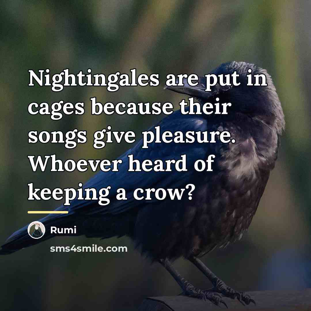 “Nightingales are put in cages because their songs give pleasure.…” quote by Rumi