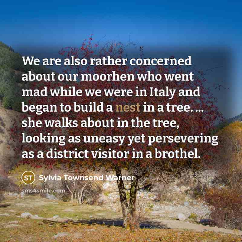 “We are also rather concerned about our moorhen who went…” quote by Sylvia Townsend Warner