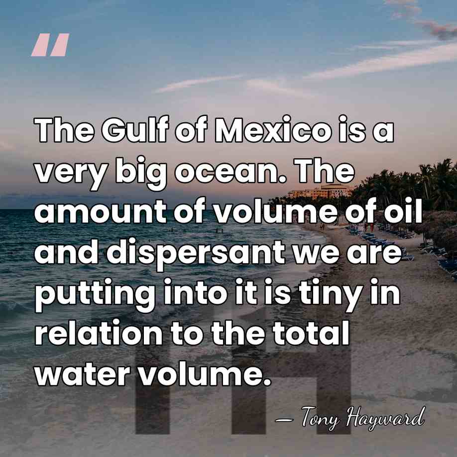 The Gulf of Mexico is a very big ocean. The amount of&hellip; - Tony Hayward