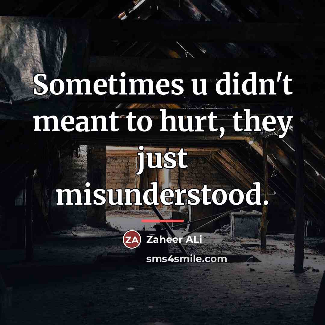 “Sometimes u didn't meant to hurt, they just misunderstood.…” quote by Zaheer ALi