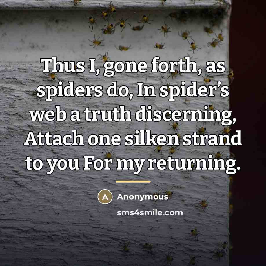 “Thus I, gone forth, as spiders do, In spider’s web…” quote by Anonymous