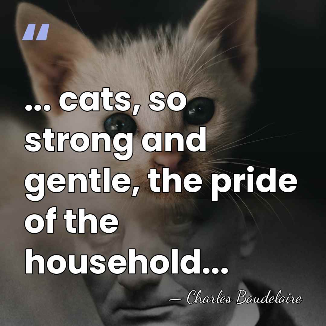 ... cats, so strong and gentle, the pride of the household... - Charles Baudelaire