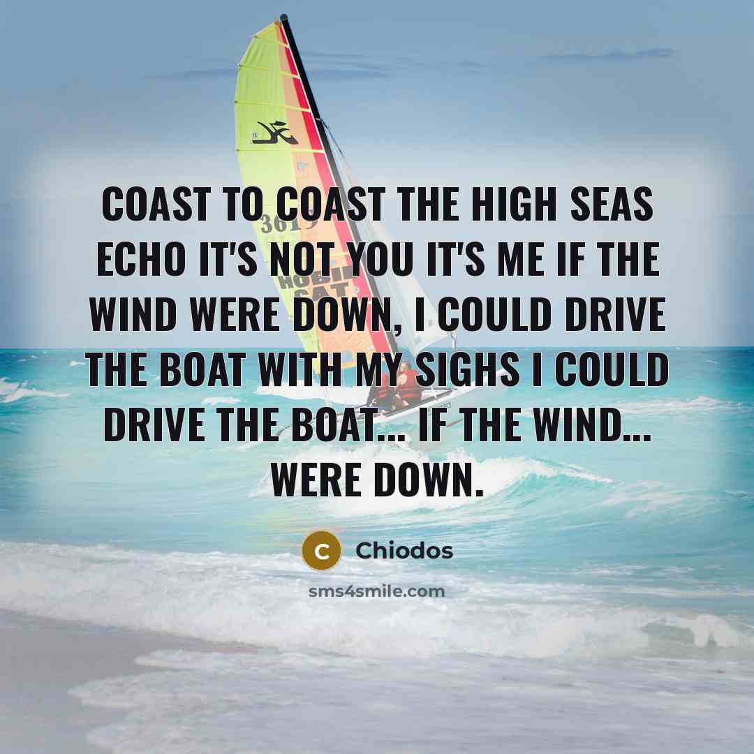 “Coast to coast the high seas echo it's not you it's me If the wind were down, I could drive the boat with my sighs I could drive the boat... if the wind... were down.” quote by Chiodos