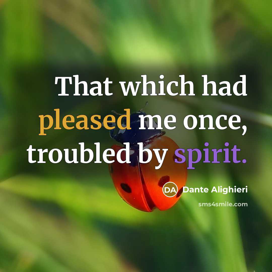 “That which had pleased me once, troubled by spirit.” quote by Dante Alighieri