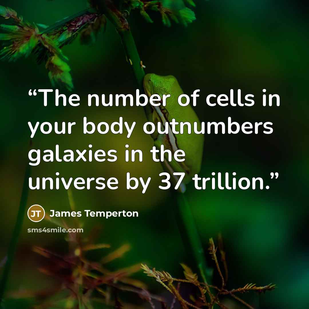 “The number of cells in your body outnumbers galaxies in the universe by 37 trillion.” quote by James Temperton