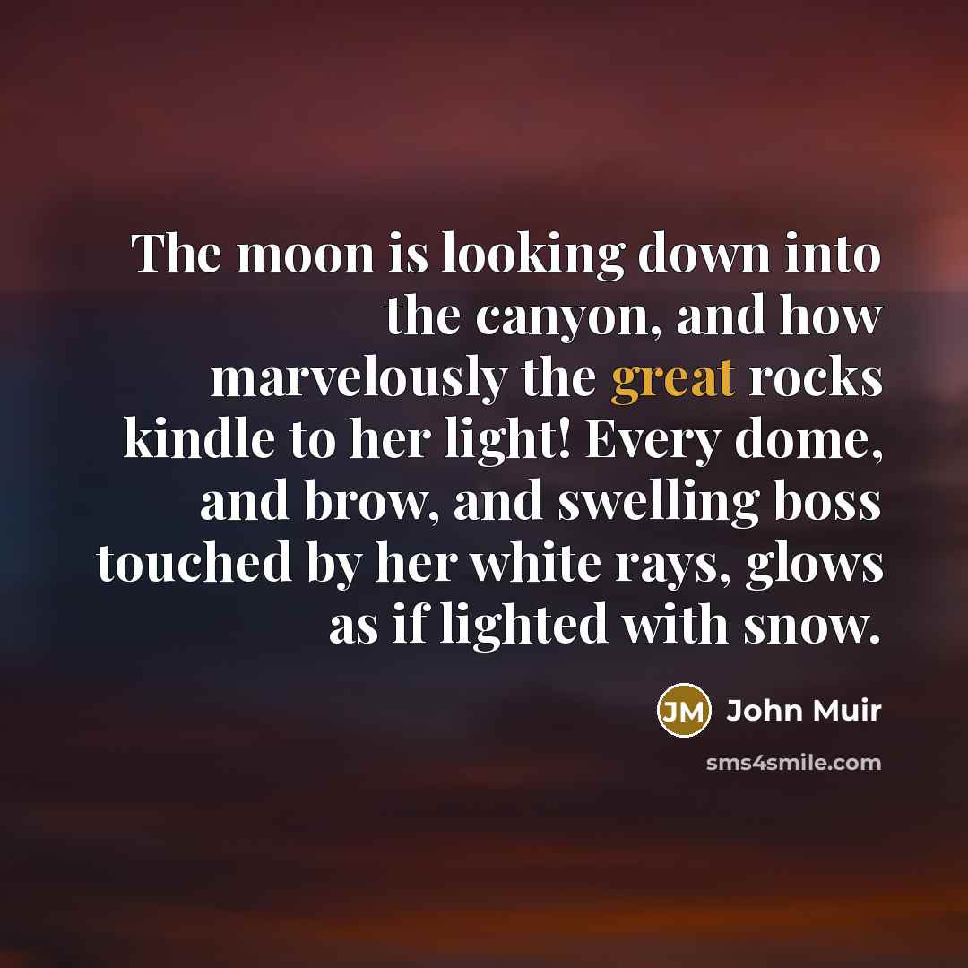 “The moon is looking down into the canyon, and how…” quote by John Muir