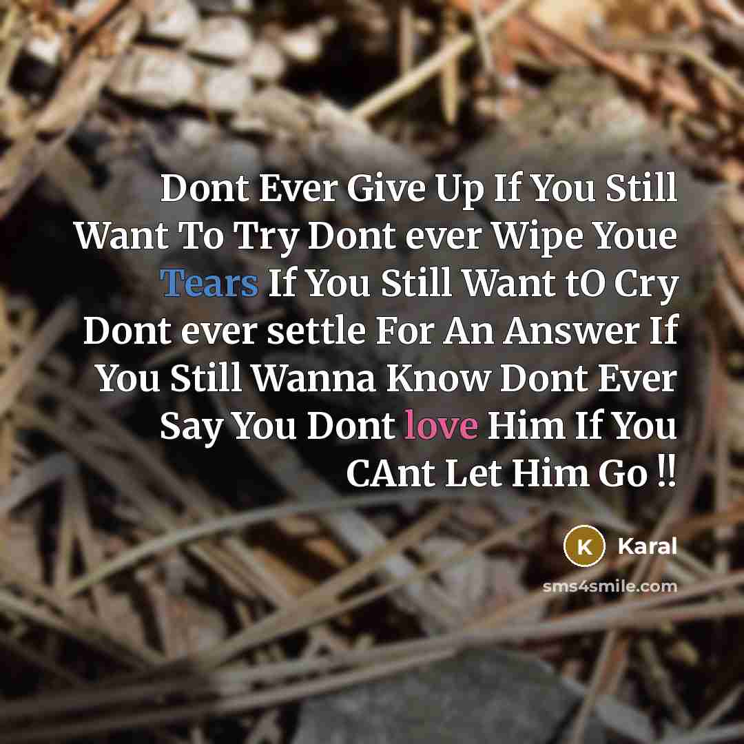 “Dont Ever Give Up If You Still Want To Try…” quote by Karal