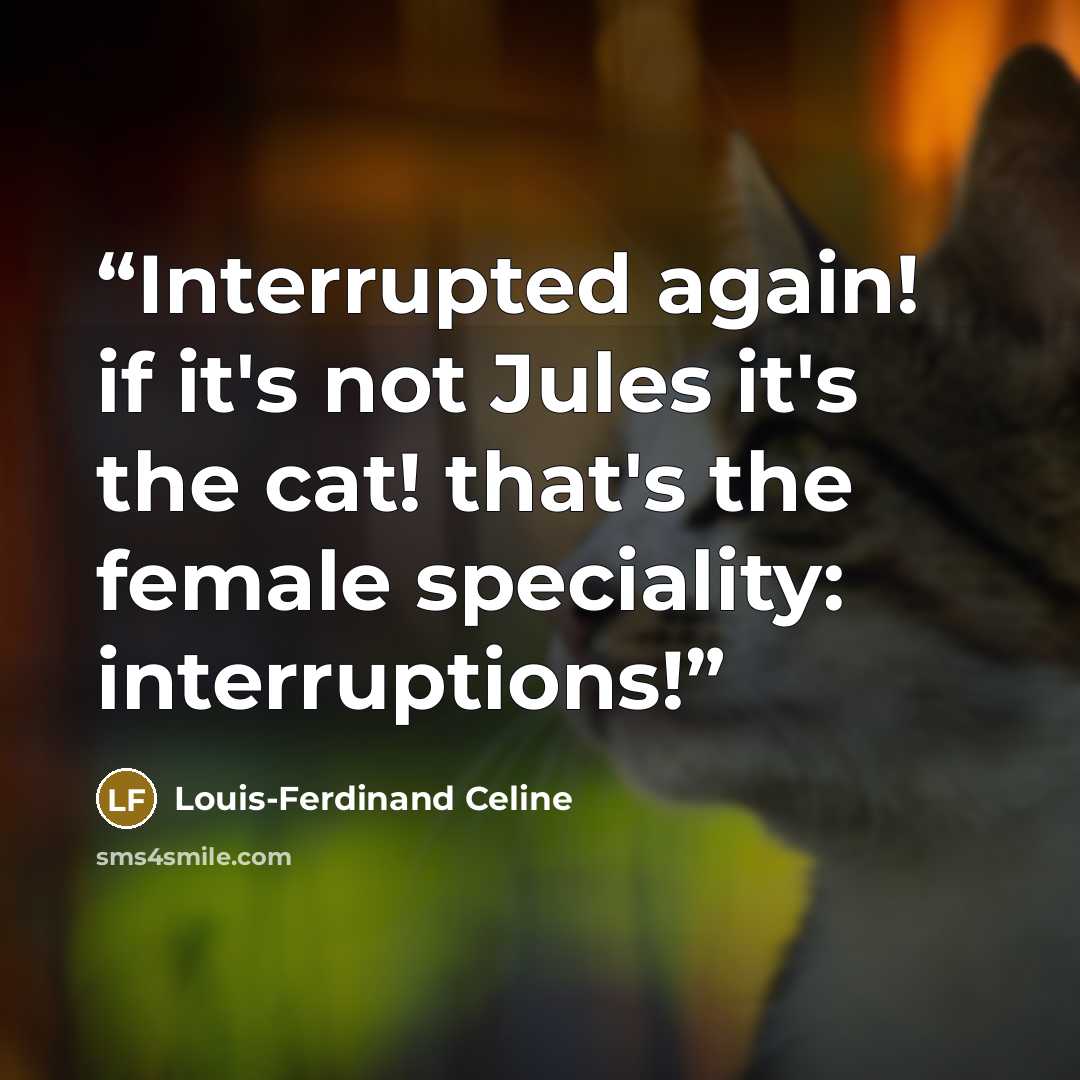 “Interrupted again! if it's not Jules it's the cat! that's the female speciality: interruptions!” quote by Louis-Ferdinand Céline