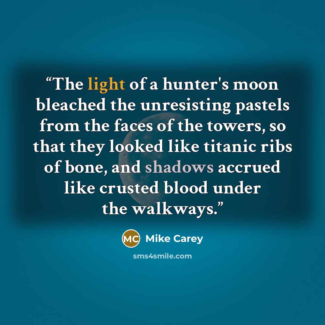 “The light of a hunter's moon bleached the unresisting pastels from the faces of the towers, so that they looked like titanic ribs of bone, and shadows accrued like crusted blood under the walkways.” quote by Mike Carey