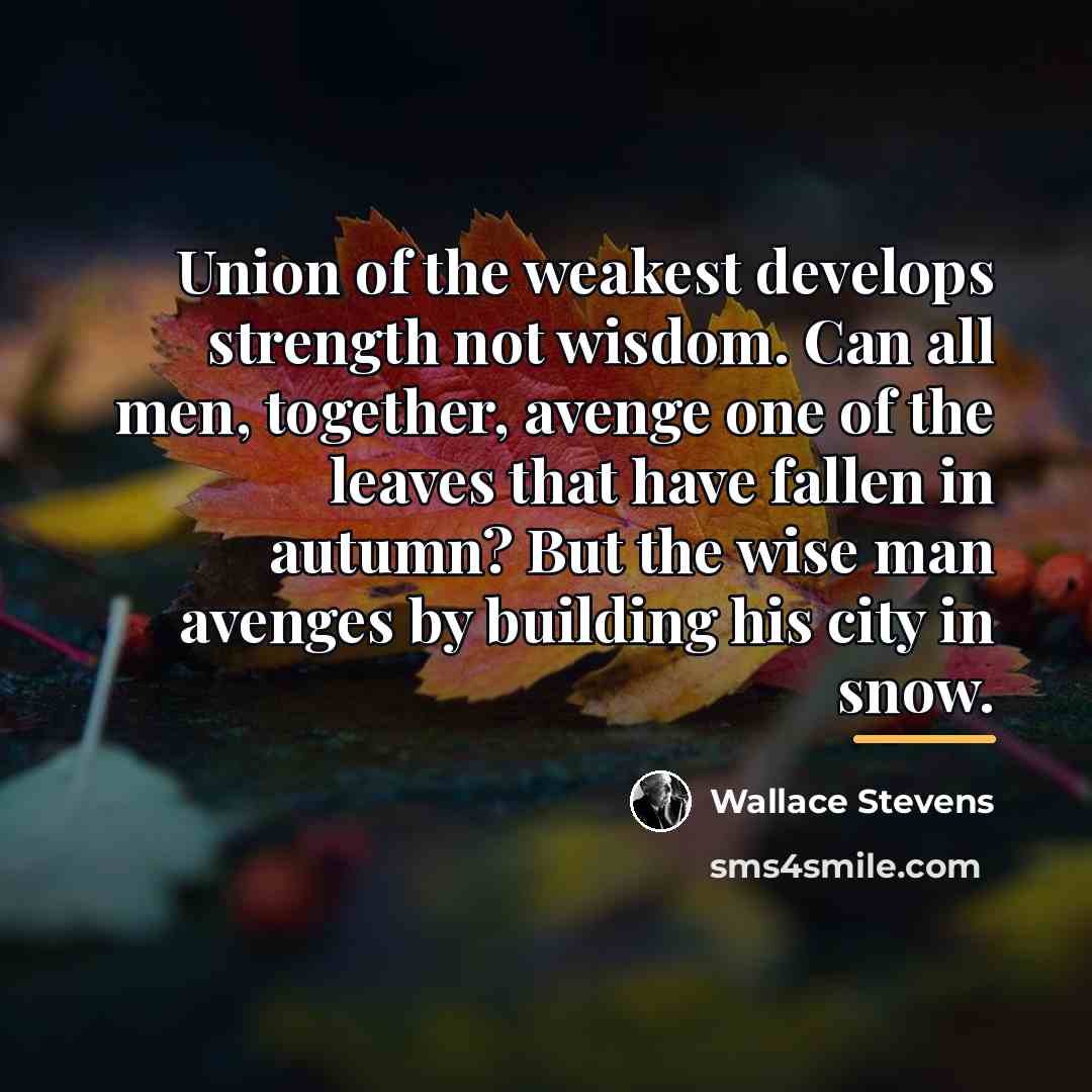 “Union of the weakest develops strength not wisdom. Can all…” quote by Wallace Stevens
