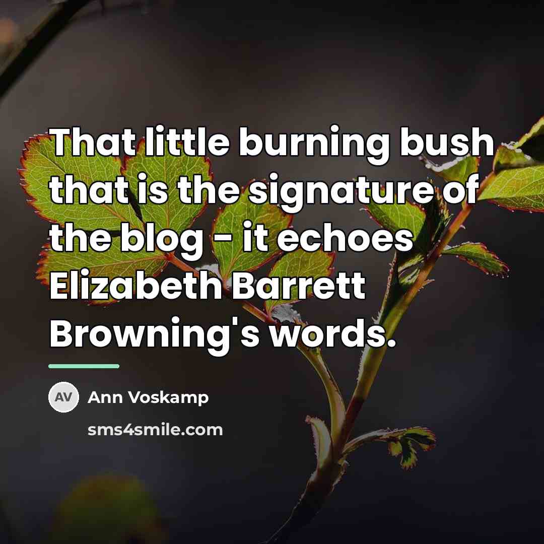 “That little burning bush that is the signature of the…” quote by Ann Voskamp