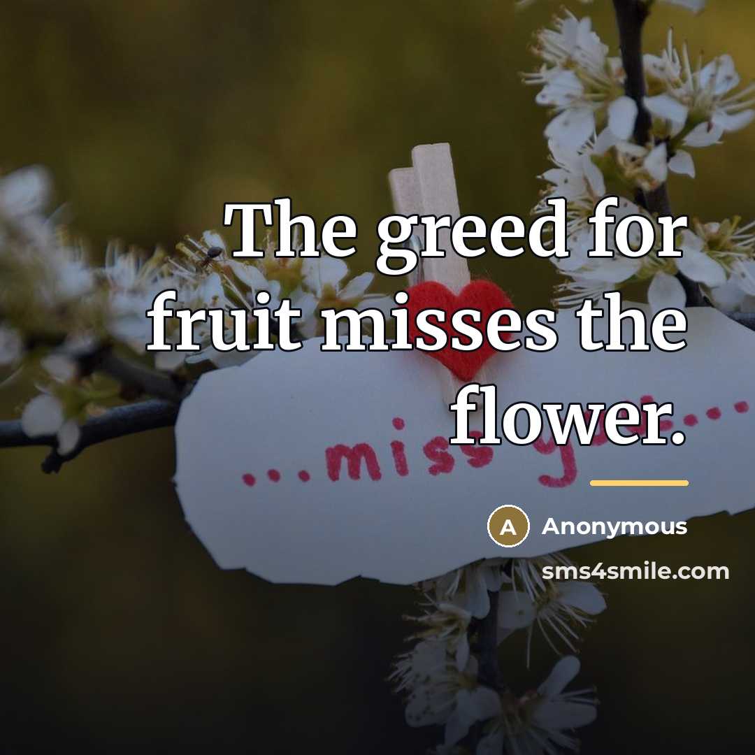 “The greed for fruit misses the flower.…” quote by Anonymous