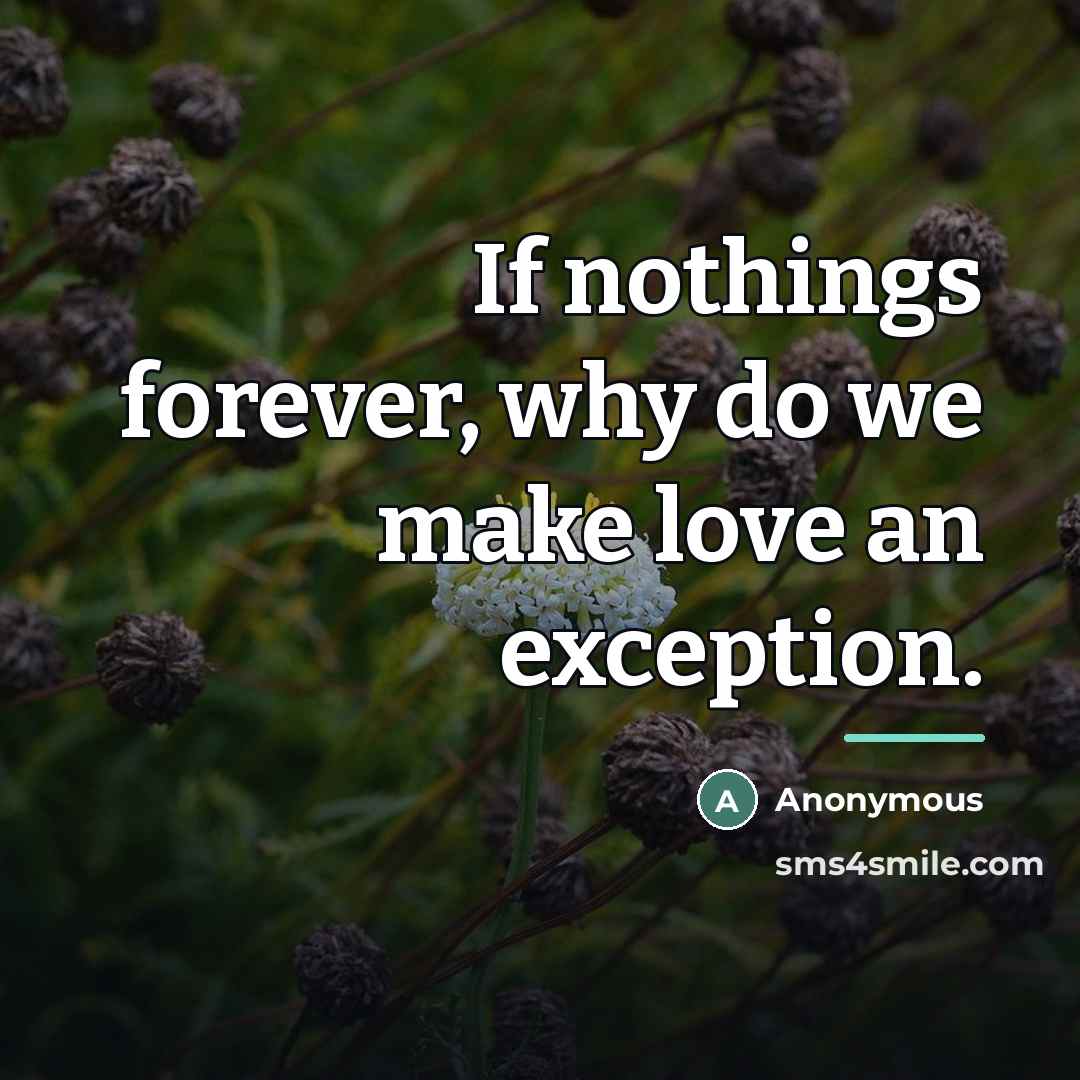 “If nothings forever, why do we make love an exception.…” quote by Anonymous