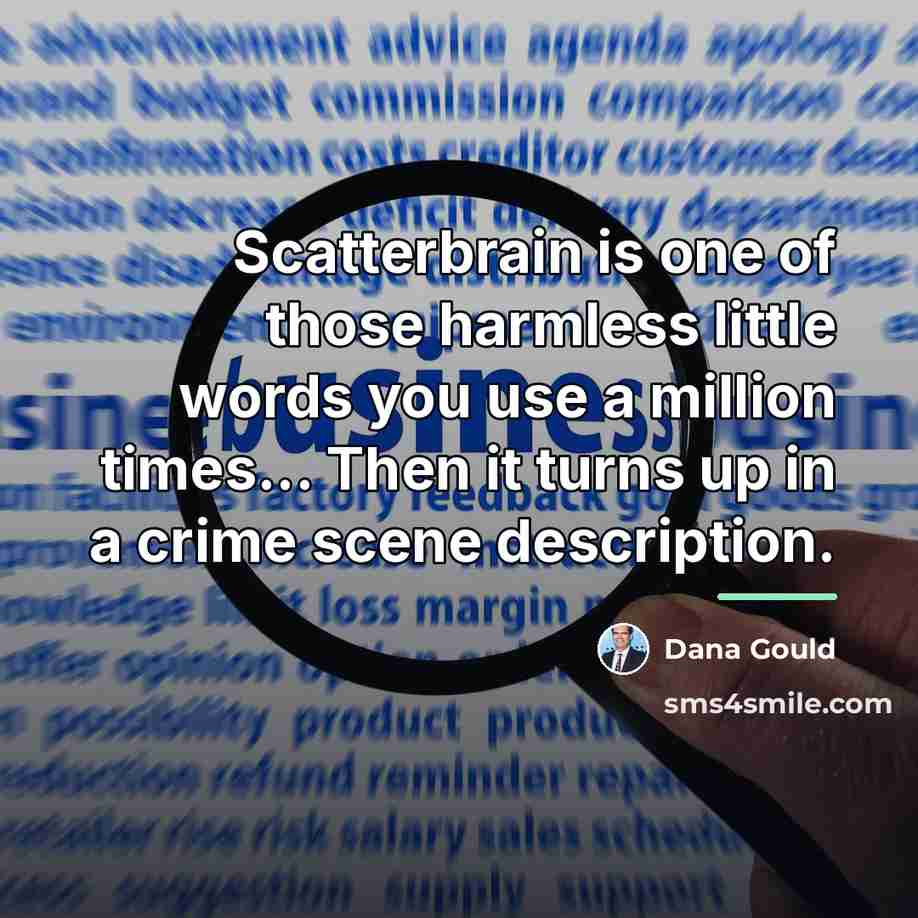 “Scatterbrain is one of those harmless little words you use…” quote by Dana Gould