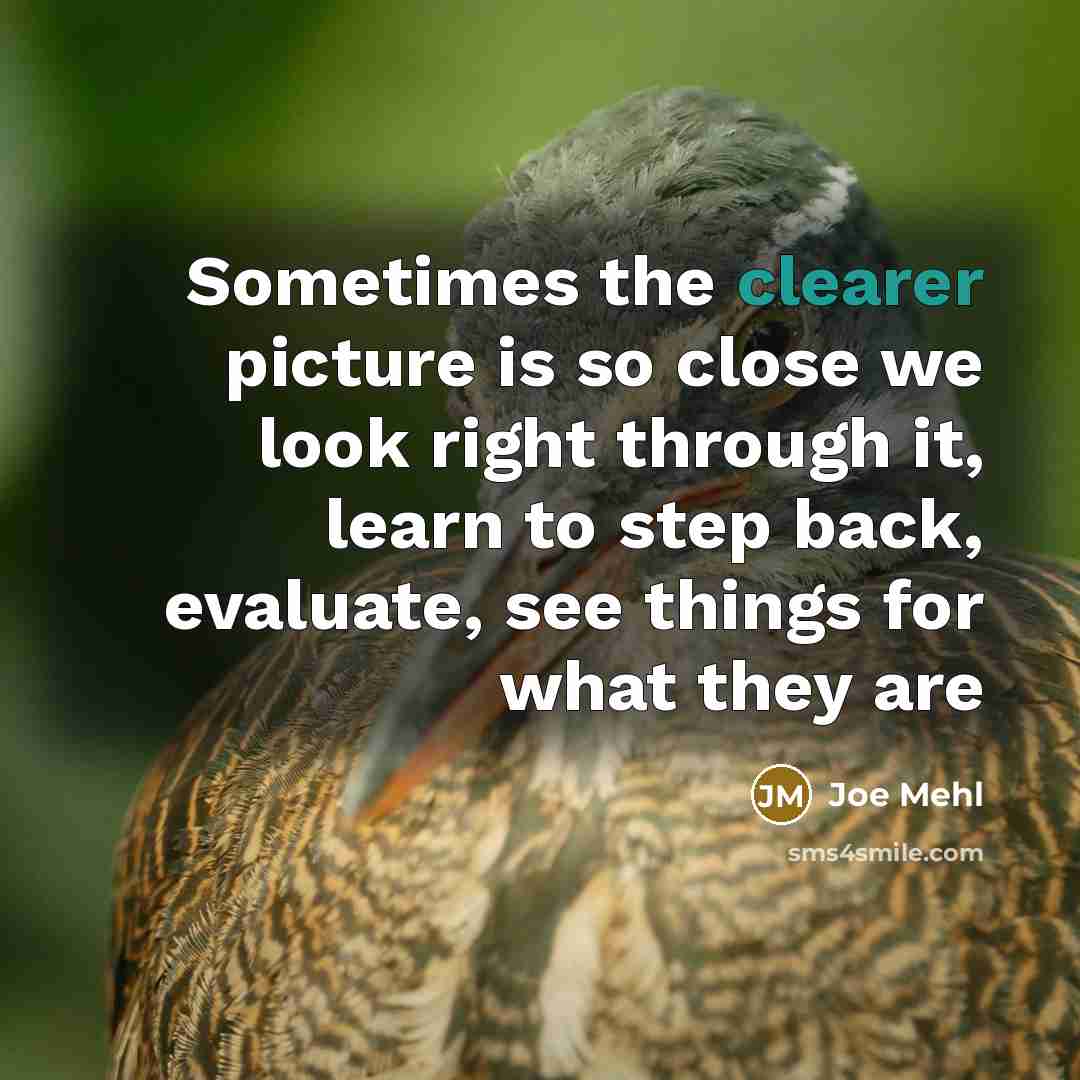 “Sometimes the clearer picture is so close we look right through it, learn to step back, evaluate, see things for what they are” quote by Joe Mehl