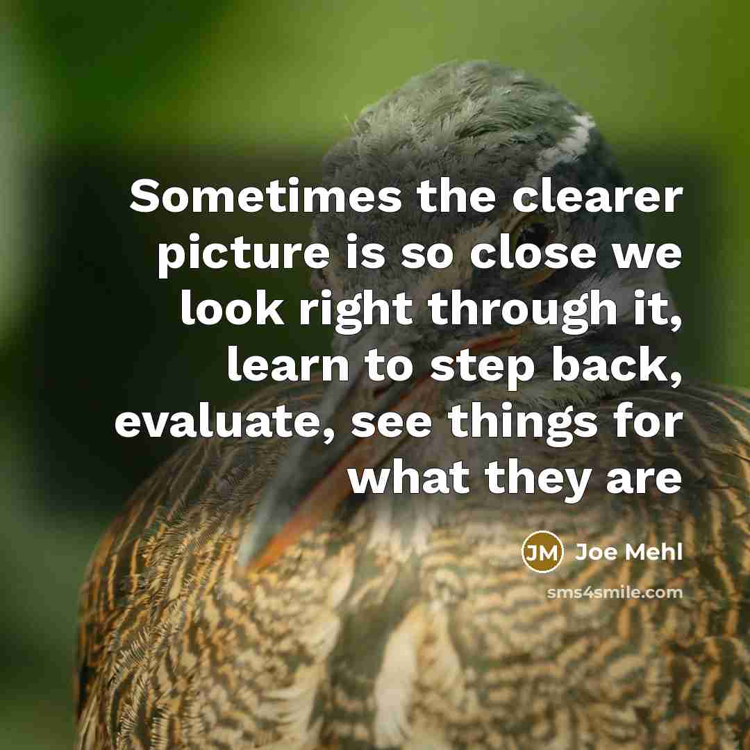 “Sometimes the clearer picture is so close we look right…” quote by Joe Mehl