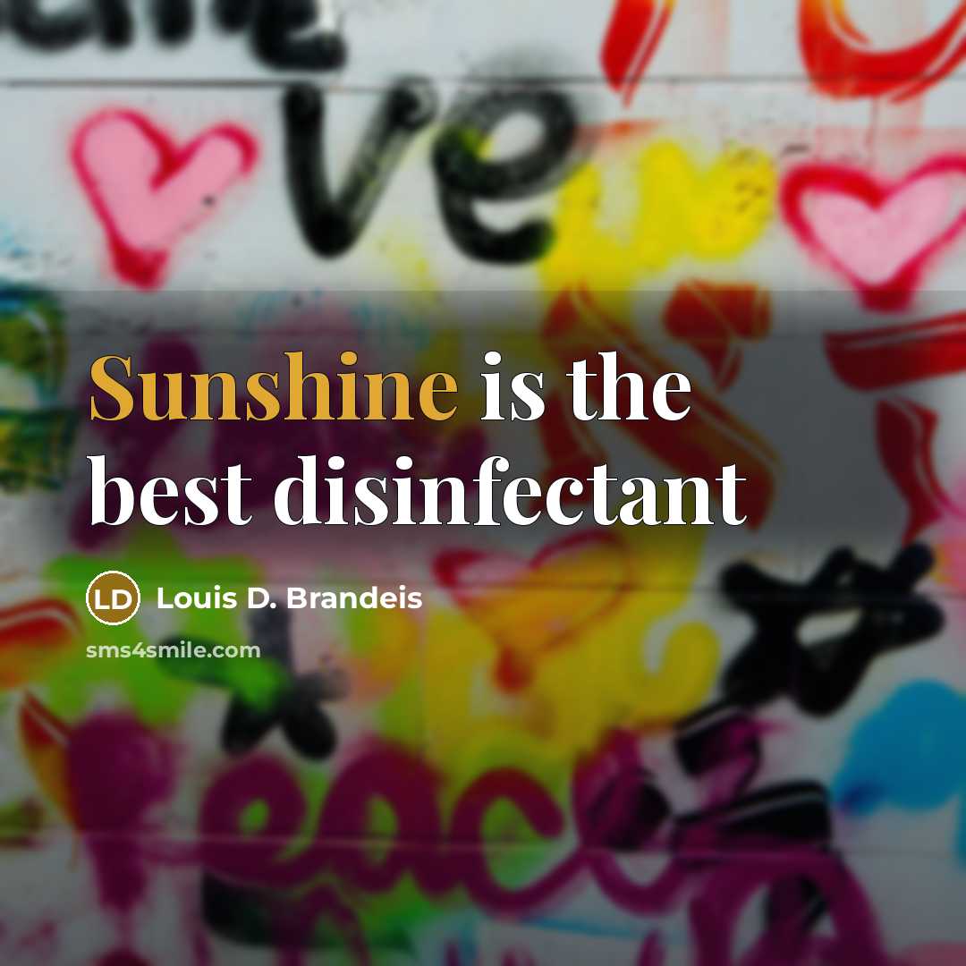 “Sunshine is the best disinfectant…” quote by Louis D. Brandeis