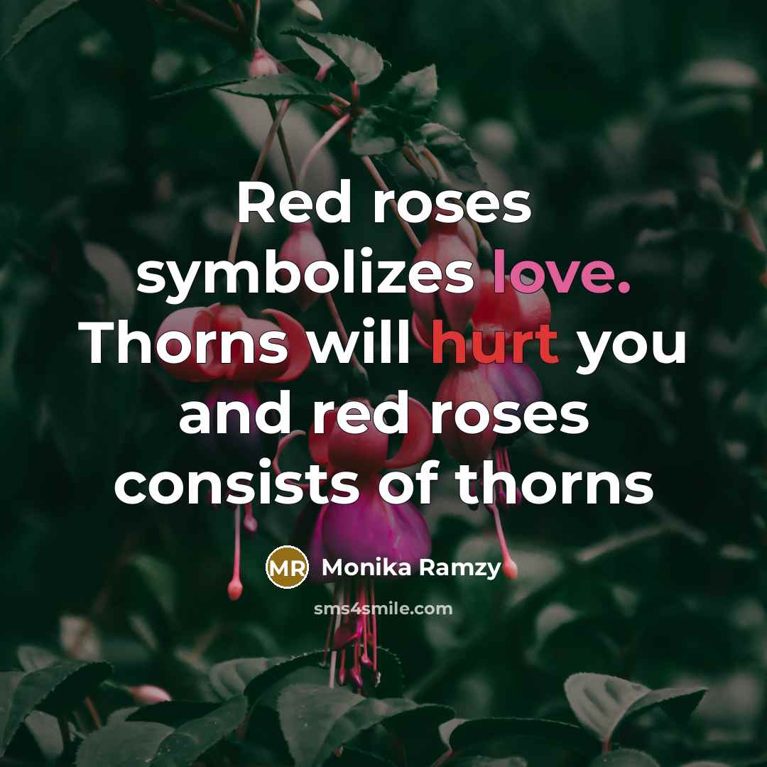 “Red roses symbolizes love. Thorns will hurt you and red…” quote by Monika Ramzy