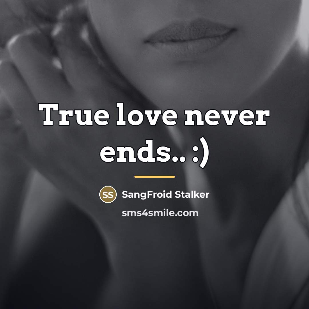 “True love never ends.. :)…” quote by SangFroid Stalker